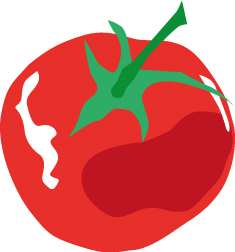 illustration tomato