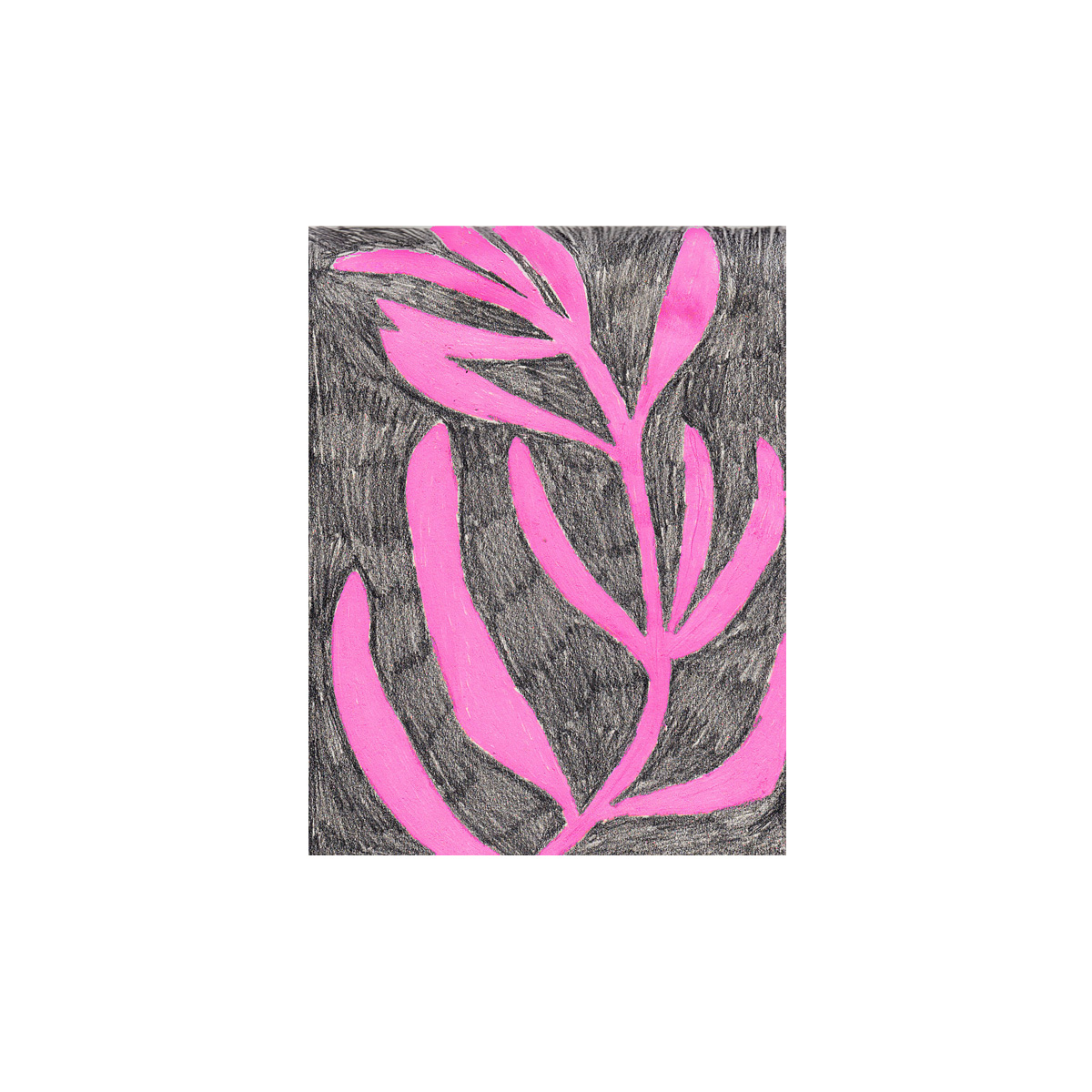 pink and black sketch of a plant