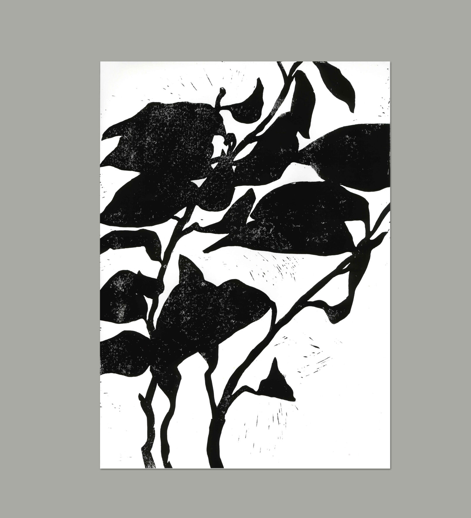 black and white woodblock print plant