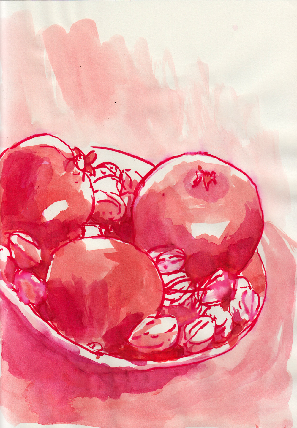 red watercolor sketch od pomegranante and walnuts