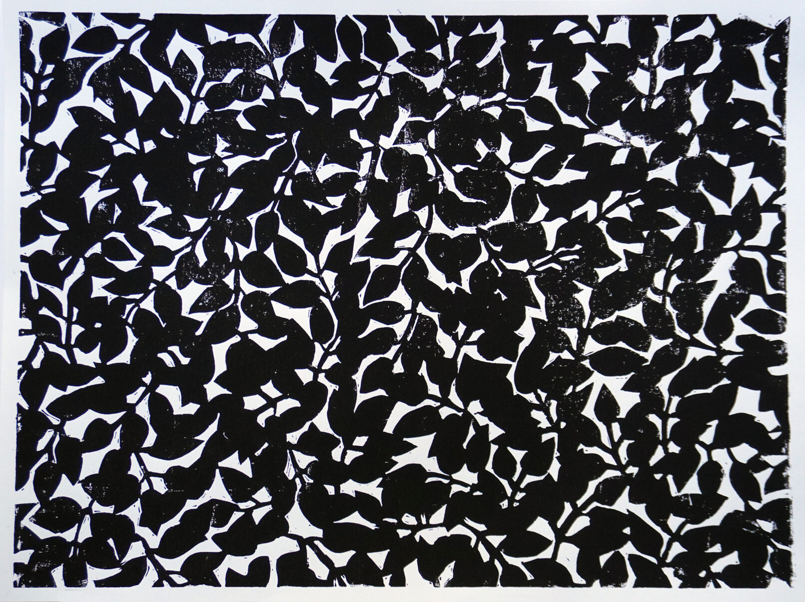 original linocut print black and white plant pattern