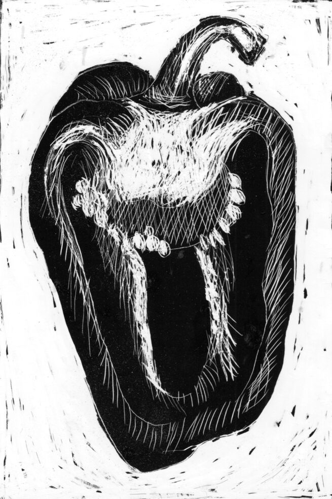 an original handmade scratchboard drawing of a pepper which is cut into halves.